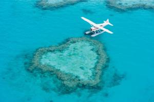 plane-at-heart-reef-7299
